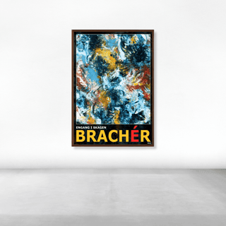 Engang i Skagen - BRACHÉR